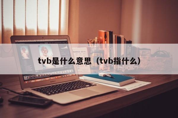 tvb是什么意思（tvb指什么）