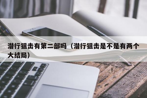 潜行狙击有第二部吗（潜行狙击是不是有两个大结局）