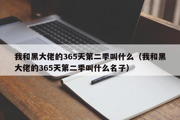 我和黑大佬的365天第二季叫什么（我和黑大佬的365天第二季叫什么名子）