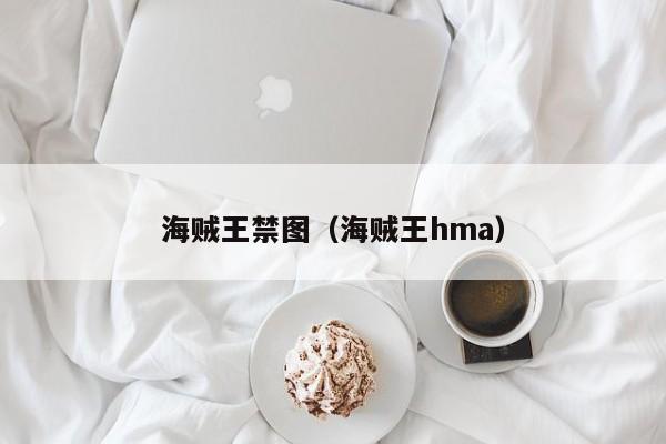 海贼王禁图（海贼王hma）