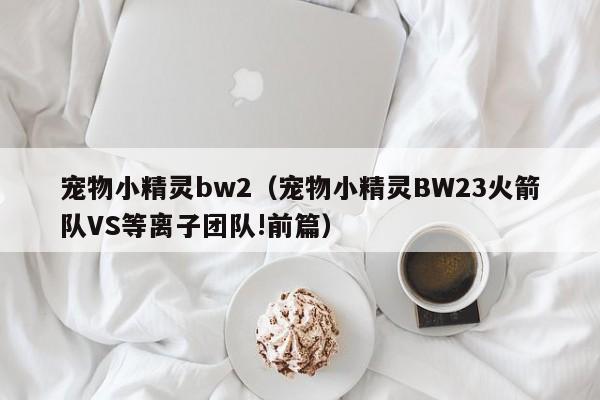 宠物小精灵bw2（宠物小精灵BW23火箭队VS等离子团队!前篇）