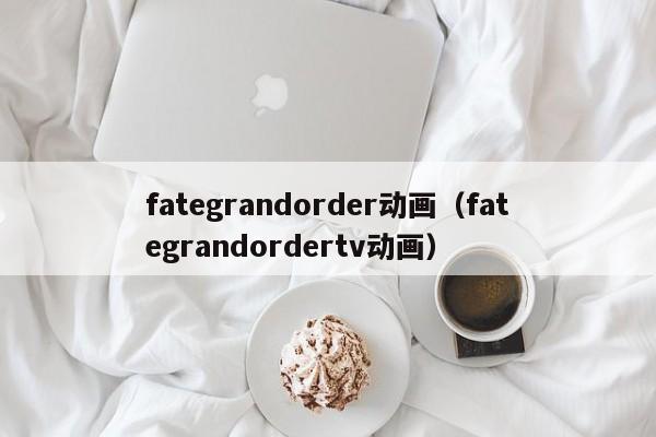 fategrandorder动画（fategrandordertv动画）