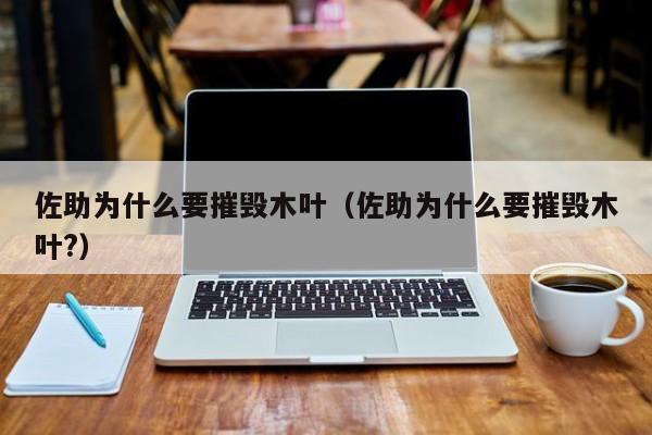 佐助为什么要摧毁木叶（佐助为什么要摧毁木叶?）