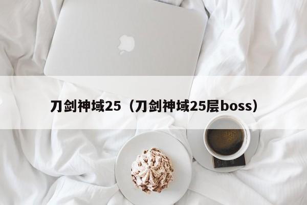 刀剑神域25（刀剑神域25层boss）