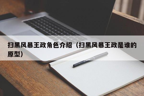 扫黑风暴王政角色介绍（扫黑风暴王政是谁的原型）