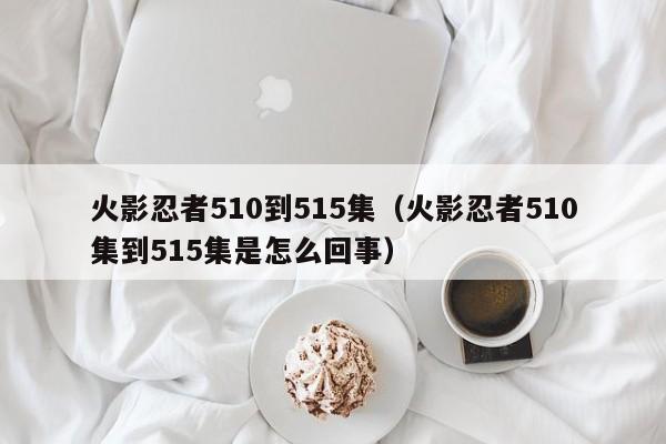 火影忍者510到515集（火影忍者510集到515集是怎么回事）