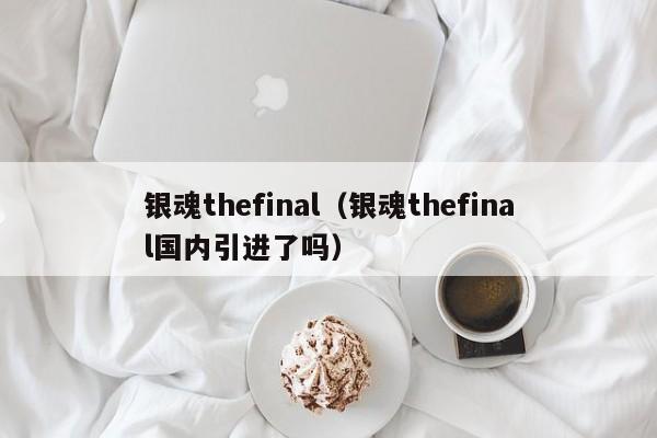 银魂thefinal（银魂thefinal国内引进了吗）