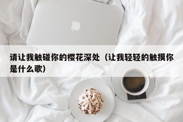 请让我触碰你的樱花深处（让我轻轻的触摸你是什么歌）