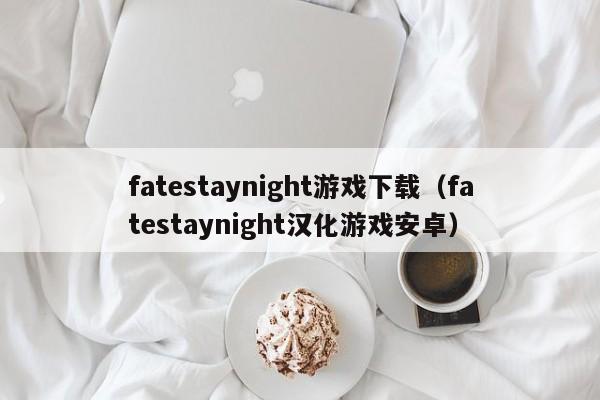 fatestaynight游戏下载（fatestaynight汉化游戏安卓）