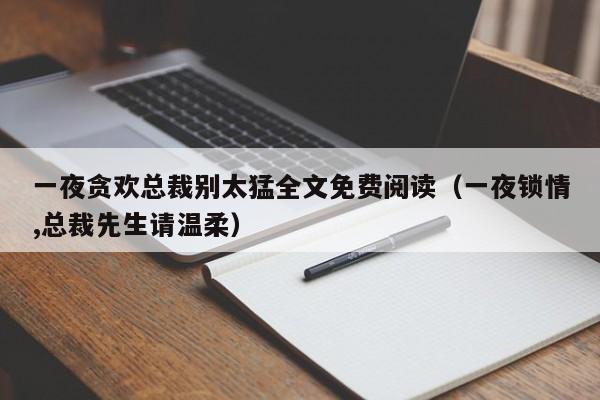 一夜贪欢总裁别太猛全文免费阅读（一夜锁情,总裁先生请温柔）