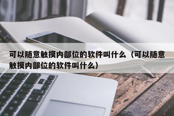 可以随意触摸内部位的软件叫什么（可以随意触摸内部位的软件叫什么）