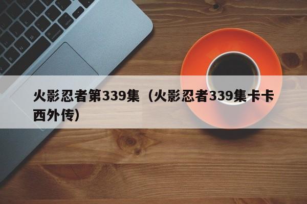 火影忍者第339集（火影忍者339集卡卡西外传）