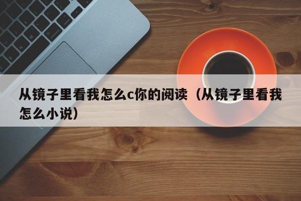 从镜子里看我怎么c你的阅读（从镜子里看我怎么小说）