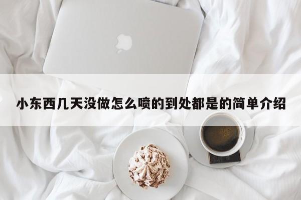 小东西几天没做怎么喷的到处都是的简单介绍