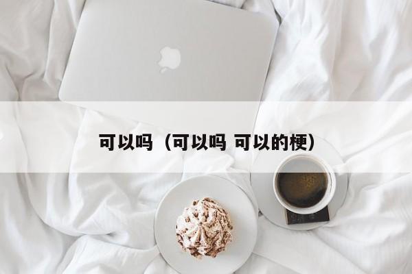 可以吗（可以吗 可以的梗）