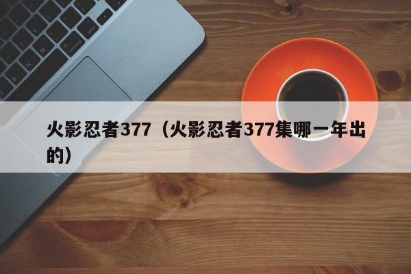 火影忍者377（火影忍者377集哪一年出的）